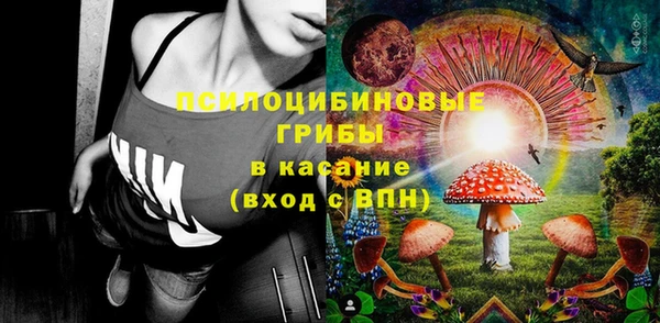 мяу мяу мука Алзамай