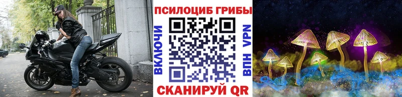 OMG зеркало Котово Галлюциногенные грибы ЛСД